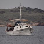 Yekta Kaptan Günlük Tur Balık ve Gezi Teknesi